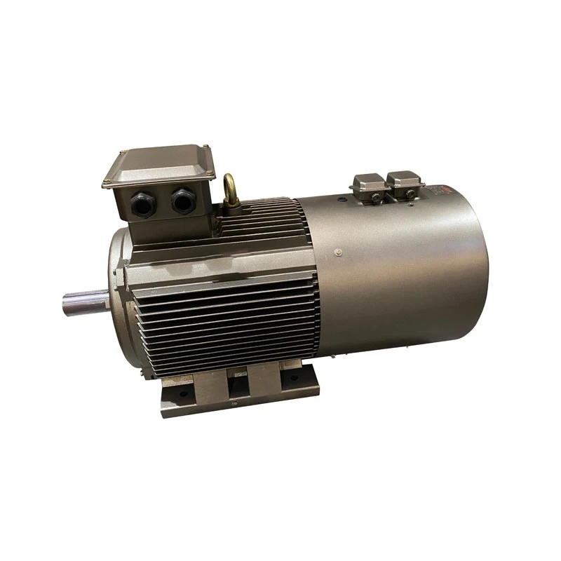 3 phase variable speed motor