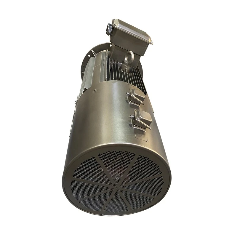 inverter water pump motor